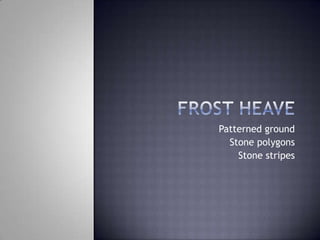 Patterned ground
Stone polygons
Stone stripes
 