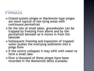  Closed-system pingos or Mackenzie type pingos
are more typical of low-lying areas with
continuous permafrost
 On the site of small lakes, groundwater can be
trapped by freezing from above and by the
permafrost beneath as it moves in from the
lakeside
 Subsequent freezing and expansion of trapped
water pushes the overlying sediments into a
pingo form
 If the centre collapses it may infill with water to
form a small lake
 Over a thousand of these pingos have been
recorded in the Mackenzie delta (Canada)
 
