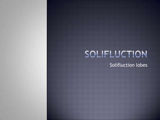 Solifluction lobes
 