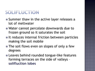  Summer thaw in the active layer releases a
lot of meltwater
 Water cannot percolate downwards due to
frozen ground so it saturates the soil
 It reduces internal friction between particles
making the soil mobile
 The soil flows even on slopes of only a few
degrees
 Leaves behind rounded tongue-like features
forming terraces on the side of valleys –
solifluction lobes
 