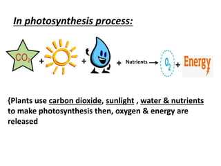 In photosynthesis process: 
+ + + Nutrients 
+ 
{Plants use carbon dioxide, sunlight , water & nutrients 
to make photosynthesis then, oxygen & energy are 
released 
 