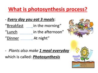 What is photosynthesis process? 
- Every day you eat 3 meals: 
“Breakfast in the morning” 
“Lunch in the afternoon” 
“Dinner At night” 
- Plants also make 1 meal everyday 
which is called: Photosynthesis 
 
