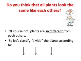 Do you think that all plants look the
same like each others?
• Of course not, plants are so different from
each others.
• So let’s classify “divide” the plants according
to:
 
