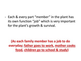 - Each & every part “member” in the plant has
its own function “job” which is very important
for the plant’s growth & survival.
(As each family member has a job to do
everyday; father goes to work, mother cooks
food, children go to school & study)
 