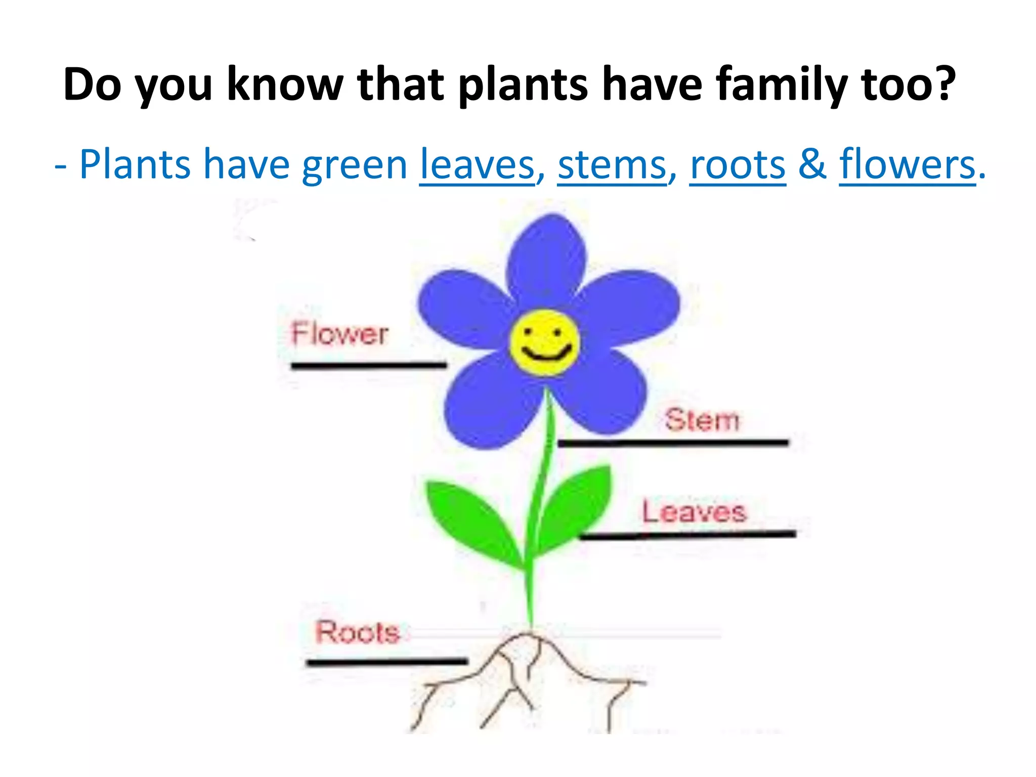 Do you know that plants have family too?
- Plants have green leaves, stems, roots & flowers.
 