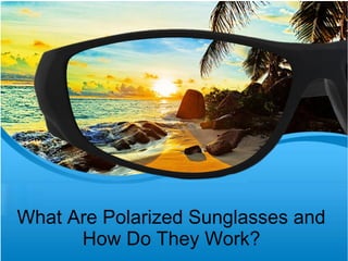 What Are Polarized Sunglasses and
How Do They Work?
 