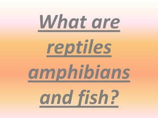What are
  reptiles
amphibians
 and fish?
 