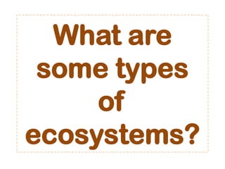 What are
some types
of
ecosystems?
 