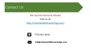 Contact Us
For Squirrel Removal Atlanta
Visit us at:
http://urbanwildlifecontrolga.com/
770-331-4216
info@urbanwildlifecontrolga.com