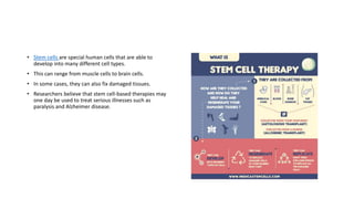 • Stem cells are special human cells that are able to
develop into many different cell types.
• This can range from muscle cells to brain cells.
• In some cases, they can also fix damaged tissues.
• Researchers believe that stem cell-based therapies may
one day be used to treat serious illnesses such as
paralysis and Alzheimer disease.
 