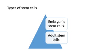 Types of stem cells
Embryonic
stem cells.
Adult stem
cells.
 
