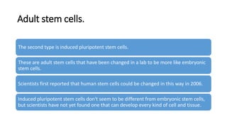 Adult stem cells.
The second type is induced pluripotent stem cells.
These are adult stem cells that have been changed in a lab to be more like embryonic
stem cells.
Scientists first reported that human stem cells could be changed in this way in 2006.
Induced pluripotent stem cells don't seem to be different from embryonic stem cells,
but scientists have not yet found one that can develop every kind of cell and tissue.
 