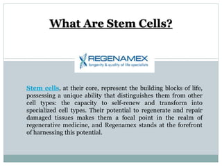 What Are Stem Cells?
Stem cells, at their core, represent the building blocks of life,
possessing a unique ability that distinguishes them from other
cell types: the capacity to self-renew and transform into
specialized cell types. Their potential to regenerate and repair
damaged tissues makes them a focal point in the realm of
regenerative medicine, and Regenamex stands at the forefront
of harnessing this potential.
 