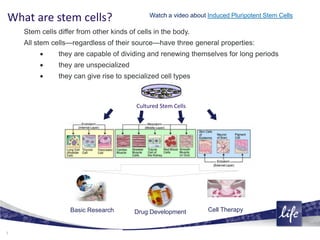 What are stem cells? An introduction to different types of stem cells ...