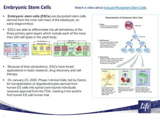 What are stem cells? An introduction to different types of stem cells ...