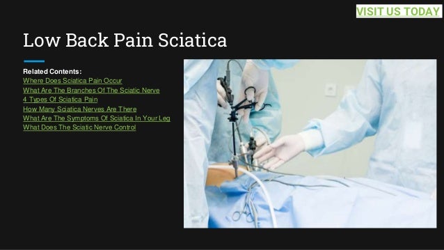 Low Back Pain Sciatica
Related Contents:
Where Does Sciatica Pain Occur
What Are The Branches Of The Sciatic Nerve
4 Types Of Sciatica Pain
How Many Sciatica Nerves Are There
What Are The Symptoms Of Sciatica In Your Leg
What Does The Sciatic Nerve Control
VISIT US TODAY
 
