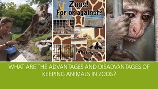 WHAT ARE THE ADVANTAGES AND DISADVANTAGES OF
KEEPING ANIMALS IN ZOOS?
 