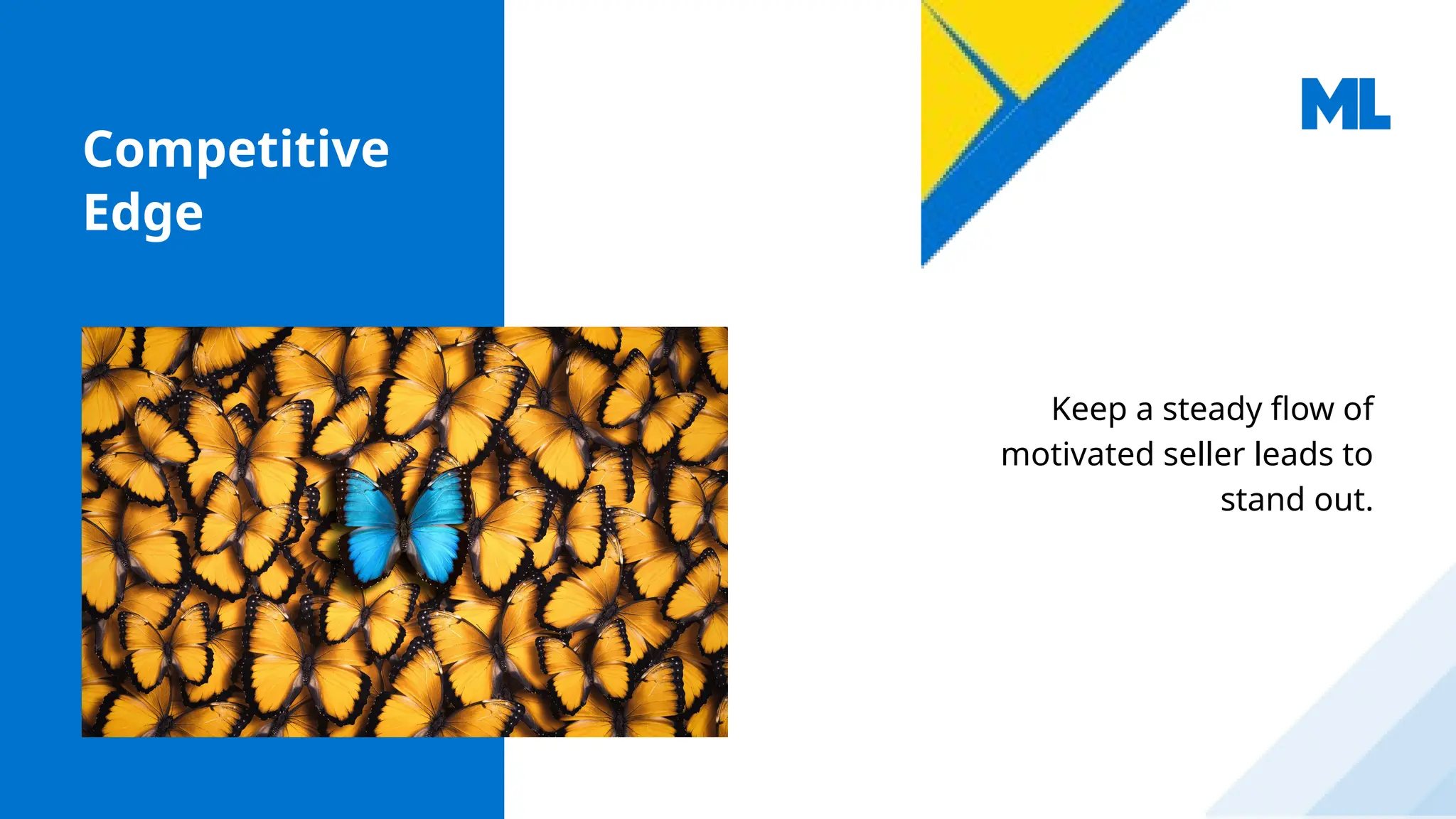 Competitive
Edge
Keep a steady flow of
motivated seller leads to
stand out.
 