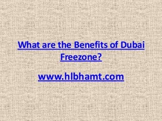 What are the Benefits of Dubai
Freezone?

www.hlbhamt.com

 