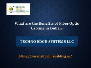 What are the Benefits of Fiber Optic
Cabling in Dubai?
TECHNO EDGE SYSTEMS LLC
https://www.structurecabling.ae/
 