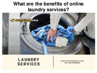What are the benefits of online
laundry services?
 