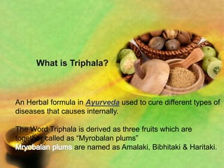 An Herbal formula in Ayurveda used to cure different types of
diseases that causes internally.
The Word Triphala is derived as three fruits which are
together called as “Myrobalan plums”
are named as Amalaki, Bibhitaki & Haritaki.
What is Triphala?
 