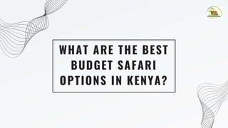 WHAT ARE THE BEST
BUDGET SAFARI
OPTIONS IN KENYA?
 