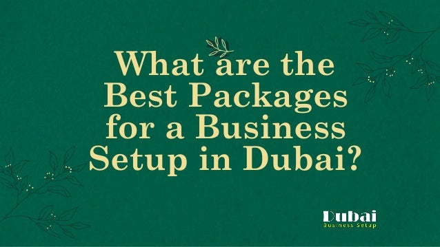 What are the
Best Packages
for a Business
Setup in Dubai?
 