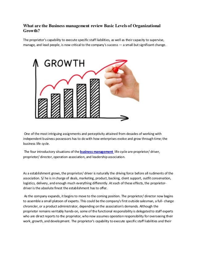 What are the business management review basic levels of organizational