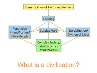 Domestication of Plants and Animals Farming Surplus Food Specialization/ Division of Labor Population Intensification/ More People Complex Society, also known as CIVILIZATION What is a civilization? 