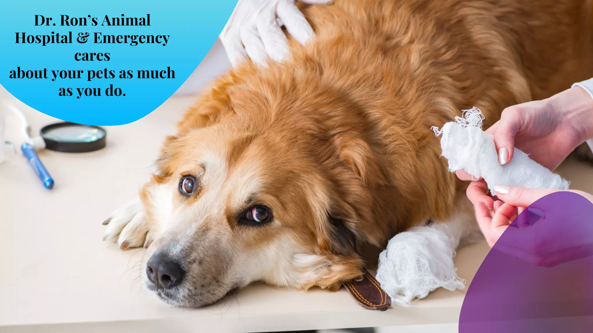 What are the Common Causes of Choking in Dogs | PPT