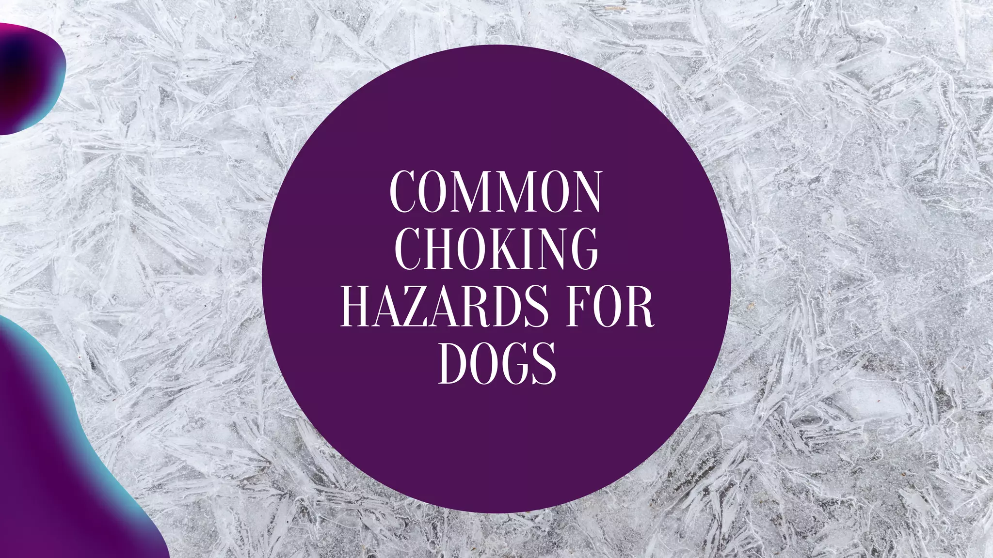View of What are the Common Causes of Choking in Dogs | PPT