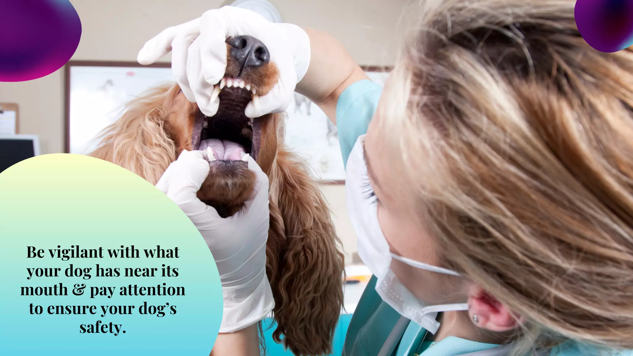 Illustration of Choking In Dogs