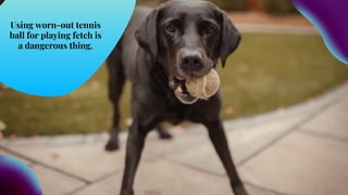 Image showcasing What are the Common Causes of Choking in Dogs | PDF