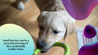 Picture of What are the Common Causes of Choking in Dogs | PDF