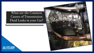 What are the Common
Causes of Transmission
Fluid Leaks in your Car?
 