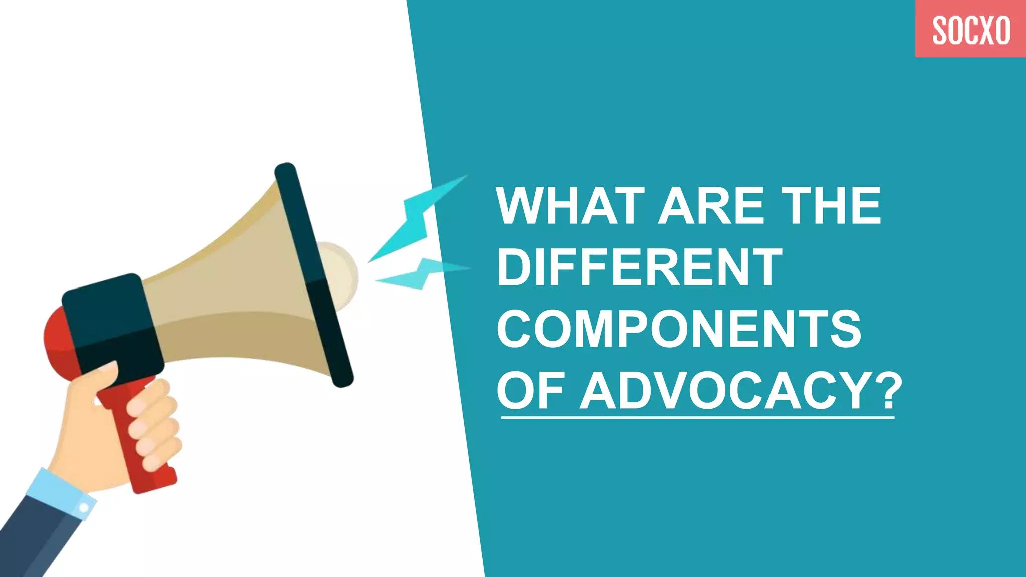 WHAT ARE THE
DIFFERENT
COMPONENTS
OF ADVOCACY?