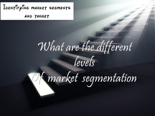 What are the different levels of marketing segmentation