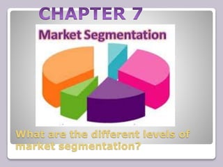 What are the different levels of
market segmentation?
 