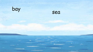 bay
sea
 