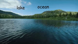 lake ocean
 