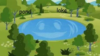 pond lake
 