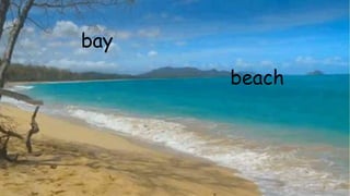 bay
beach
 