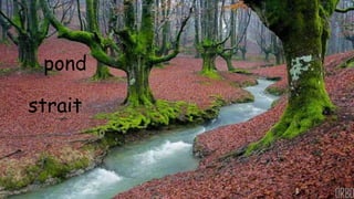 strait
pond
 