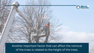 Another important factor that can affect the removal
of the trees is related to the height of the trees.
 