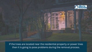 If the trees are located near the residential property or power lines
then it is going to pose problems during the removal process.
 