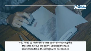 You need to make sure that before removing the
trees from your property, you need to take
permission from the designated authorities.
 