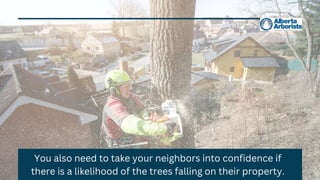 You also need to take your neighbors into confidence if
there is a likelihood of the trees falling on their property.
 