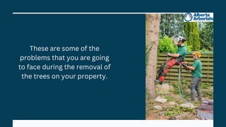 These are some of the
problems that you are going
to face during the removal of
the trees on your property.
 