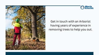 Get in touch with an Arborist
having years of experience in
removing trees to help you out.
 